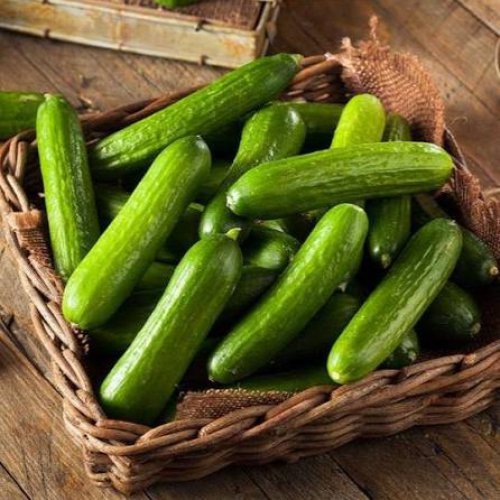 Cucumber